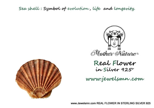 Seashell Pendant Necklace: Natural Silver Shell - Sterling Chain