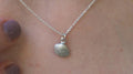 Seashell Pendant Necklace: Natural Silver Shell - Sterling Chain
