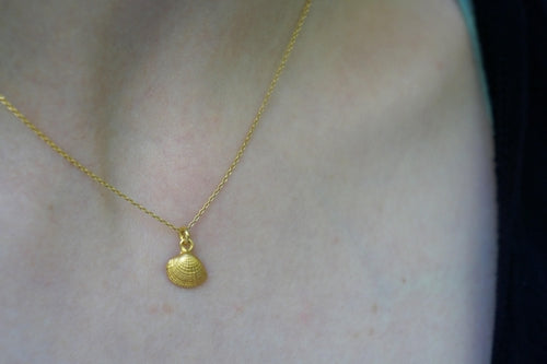 Seashell Pendant Necklace: Natural Silver Shell - Sterling Chain